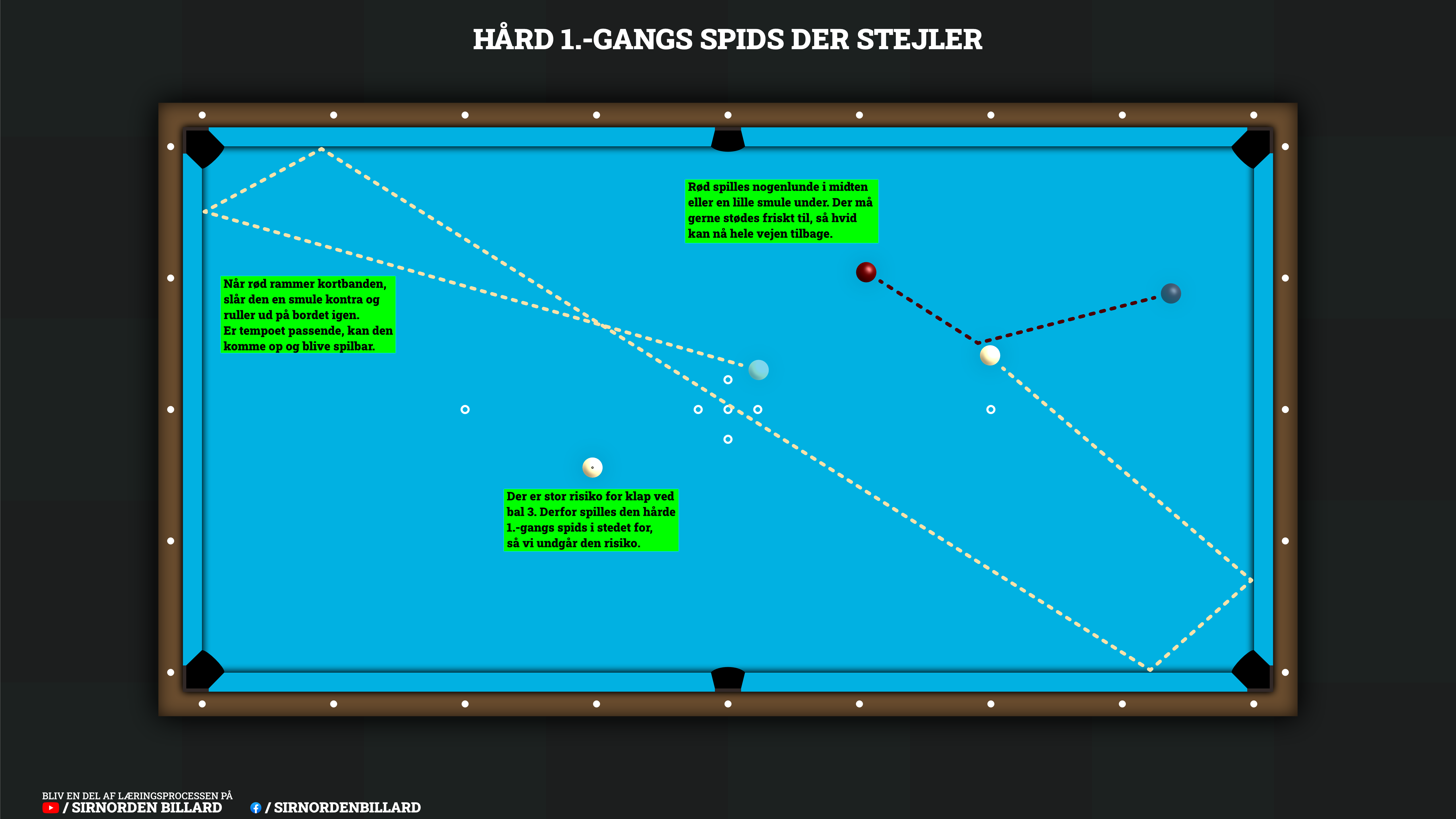Illustration af den beskrevne 1.-gangs spids der stejlerrhåndsspids